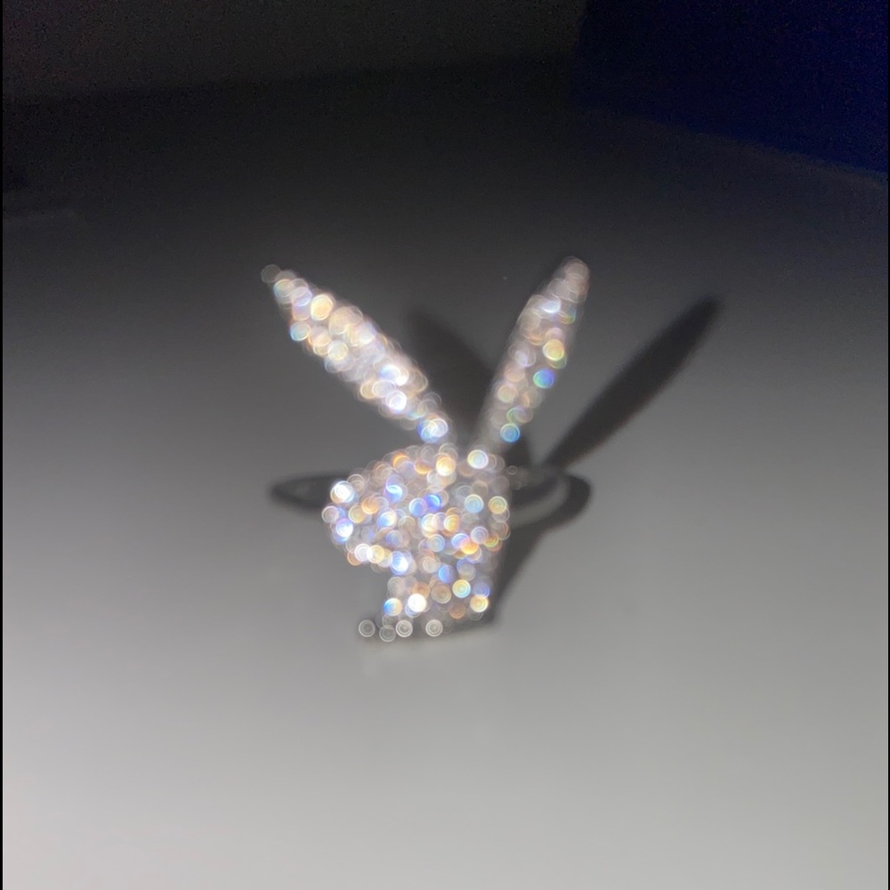 Silver Playboy Ring